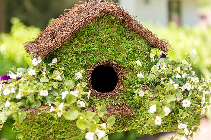 Plantable Maison Patio Birdhouse - Thumbnail 2